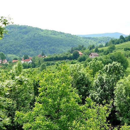 Apartments Zugec Selište Drežničko Exterior foto