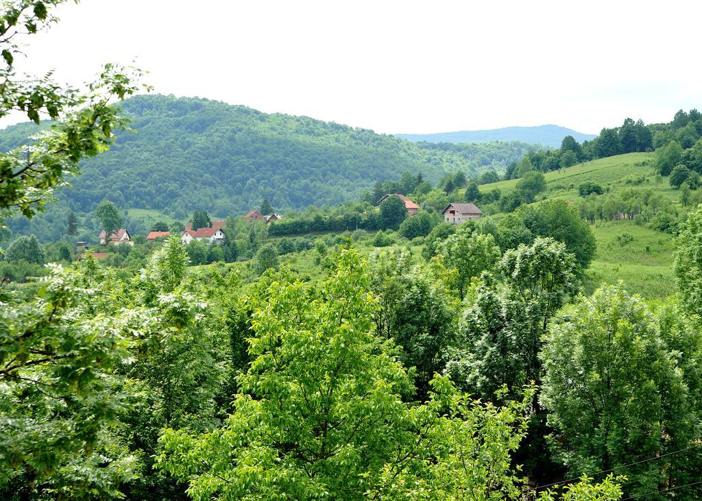 Apartments Zugec Selište Drežničko Exterior foto